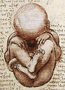 Leonardo da Vinci: "Views of a Foetus in the Womb." Licensed under Public Domain via Wikimedia Commons 